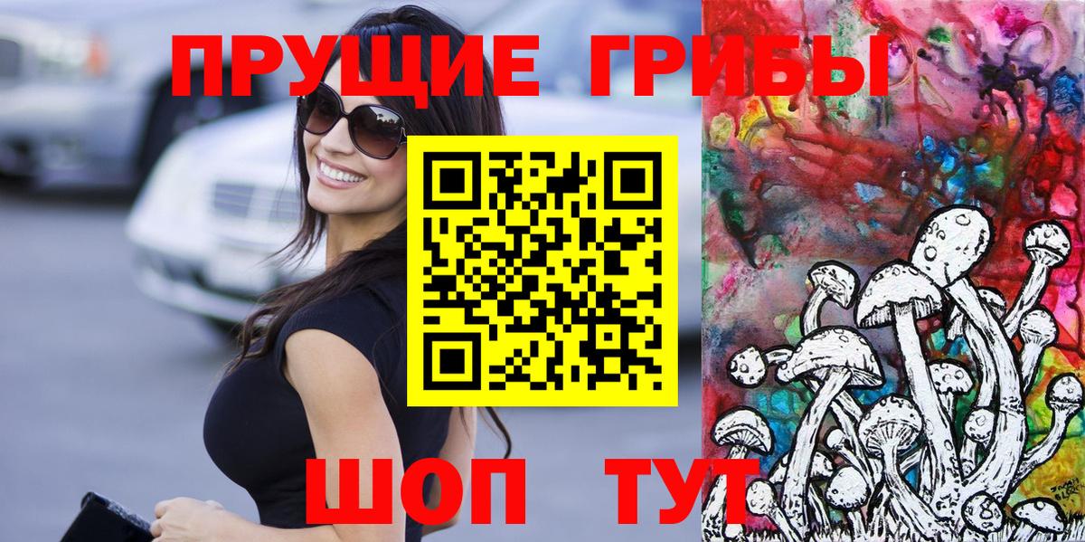 Галлюциногенные грибы MAGIC MUSHROOMS  Вход с VPN  как найти   Минусинск  Галлюциногенные грибы Cubensis 