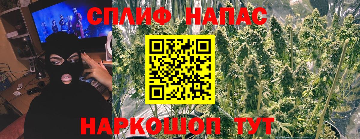Конопля гибрид Минусинск